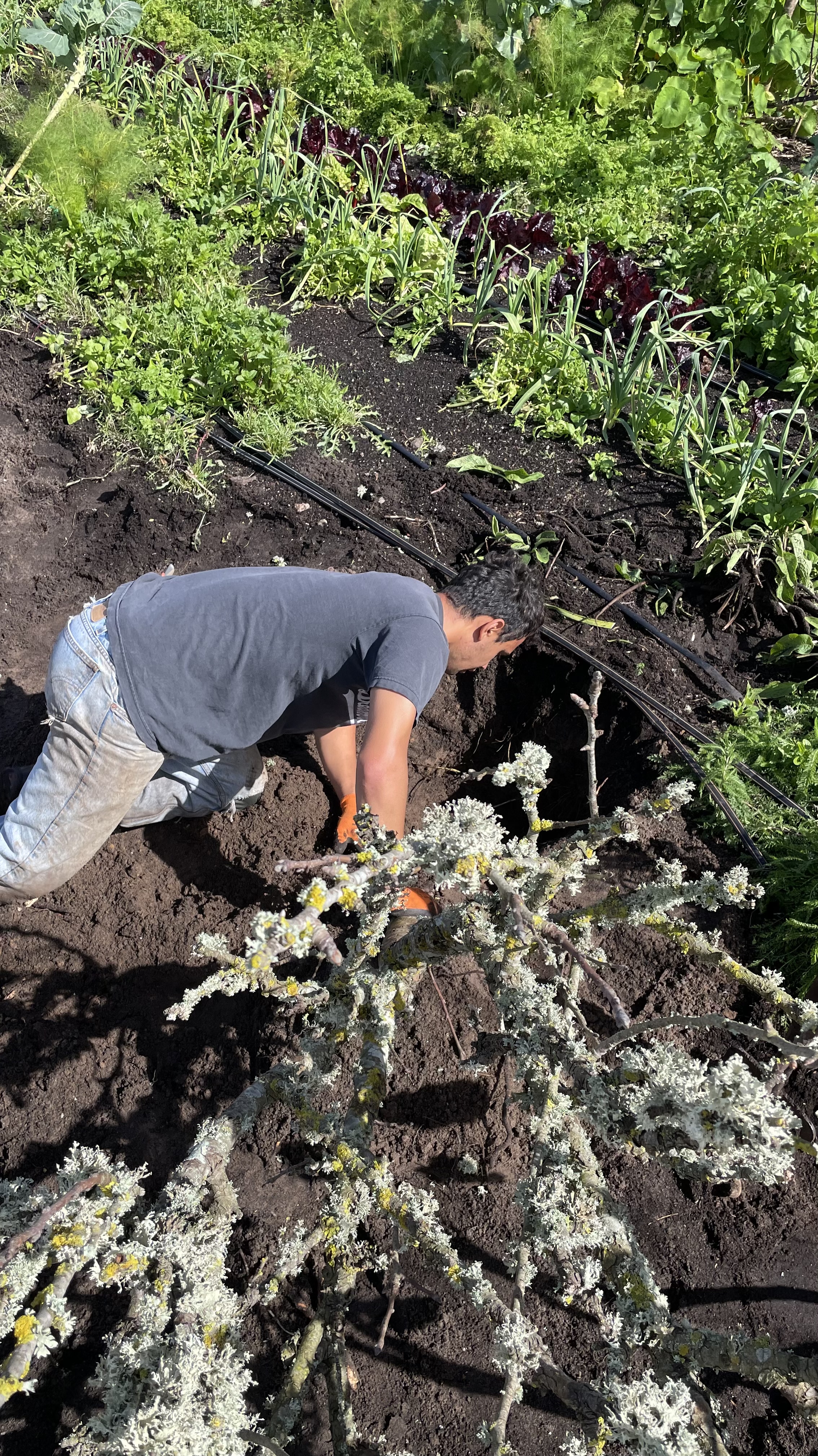 Michael farming in Portugal